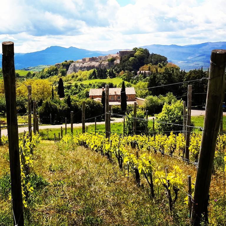 Podere Orto Wine Country House Trevinano Exterior foto