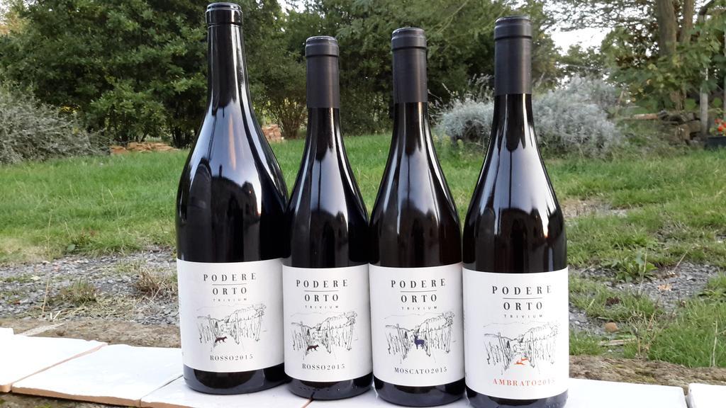 Podere Orto Wine Country House Trevinano Exterior foto